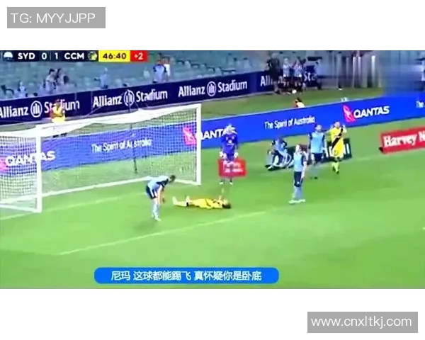 足球历史上最震撼的一脚究竟属于谁谁的惊世之作令全场沸腾