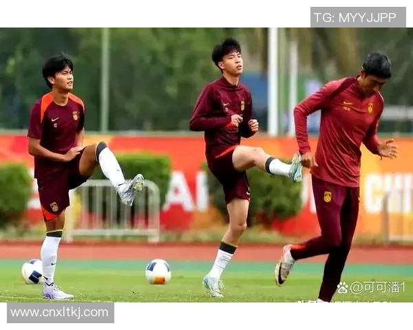 中国男足球历史十大球星排名及其影响力分析